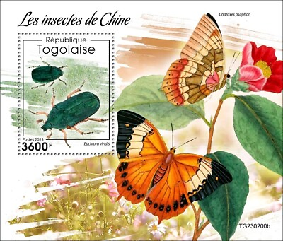 #ad Insects of China Coleoptera Plain Tawny Rajah Butterfly MNH Stamps 2023 Togo S S $16.70