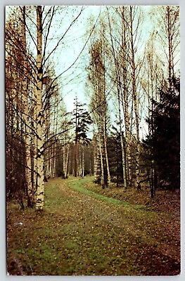 #ad Pavlovsk Avenue Park Country Road Forest Fall Autumn Aurora Art Vintage Postcard $7.99