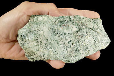#ad GREEN TREE AGATE 6quot; 1 Lb 13 Oz Lapidary Rough Cabbing Rock Mineral Chakra $24.99