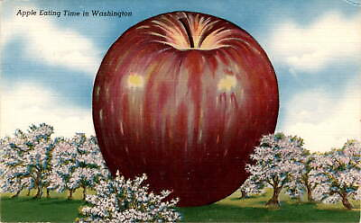 #ad Washington Tacoma Wenatchee Okanogan Yakima Valleys United Postcard $14.95
