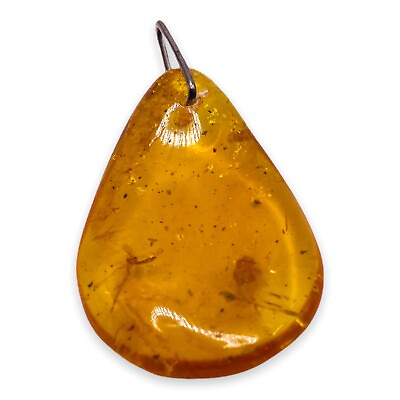 #ad Vintage Baltic INSECT Natural Baltic Amber Pendant 925 Sterling Silver 5656 $153.42
