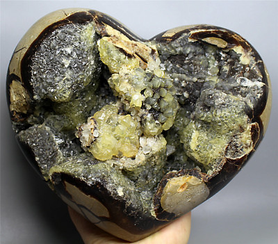 #ad 8.3lb Polished DRAGON SEPTARIAN Calcite GEODE SPHERE Crystal Heart healing $302.22