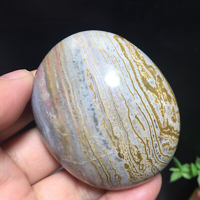 #ad 123g Natural Polished Ocean Jasper Agate Palm Rock Stone Energy stone Healing 68 $19.00