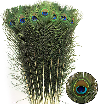 #ad 24Pcs Peacock Feathers Long Natural in Bulk 32 35 Inch 80 90 Cm $11.99