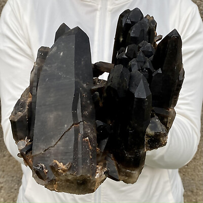 #ad 7.7LB Natural Beautiful Black Quartz Crystal Cluster Mineral Specimen $329.00