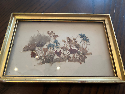 #ad Vintage ARI Dried Pressed Flowers Gold Frame Wall Hanging Made in Switzerland $25.00