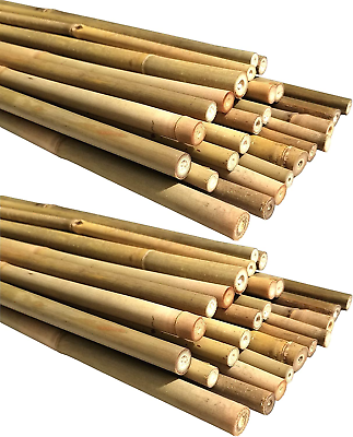 #ad Natural Bamboo Poles Eco Friendly Plant Support Garden Stakes 4ft Long Diamete $36.10