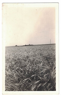 #ad Vintage 1931 Photo Kansas Wheat Field Farming Working Life Glossy 4.5 x 2.75 in $10.07
