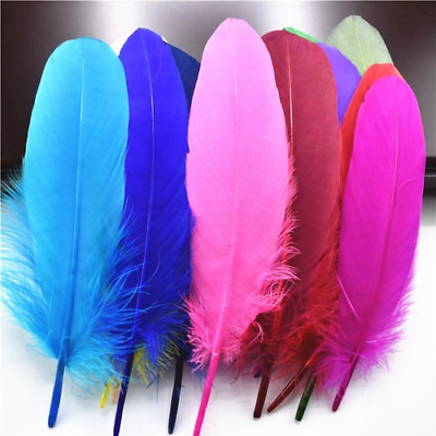 #ad Wholesale Hard Pole Natural Goose Feathers Crafts Plumes 5 7inch 13 18cm Feather $19.78