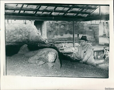 #ad 1979 Doug Storer Archaeologist Author Visits Mt Vesuvius Site Event Photo 6X8 $19.99