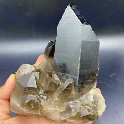 #ad 2.35LB ANatural black Crystal Himalayan quartz cluster mineralsls $228.00
