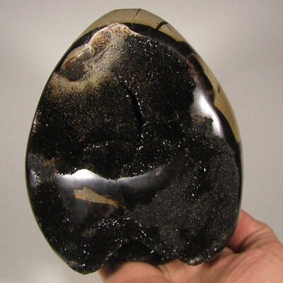 #ad 5.6quot; Hollow SEPTARIAN Polished Freeform Standup Stone Madagascar 4.9 LBS $95.22