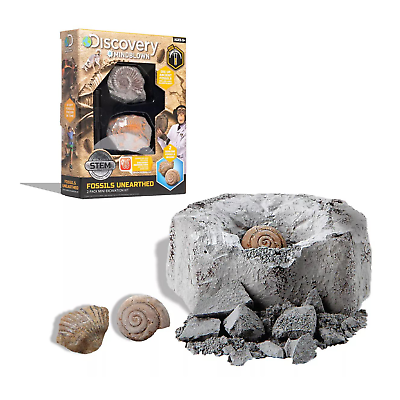 #ad Discovery #MINDBLOWN Mini Fossil Dig Set: Uncover the Mysteries of Ancient Life $12.99