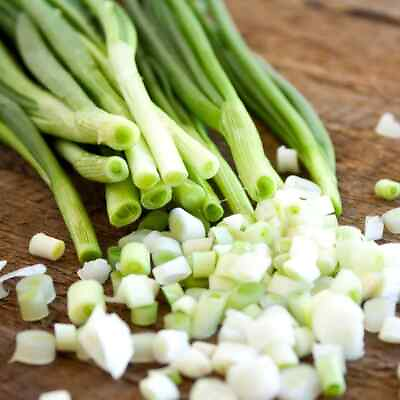 #ad Green Onion Seeds Evergreen Hardy White Seeds USA Grown Non Gmo $1.60