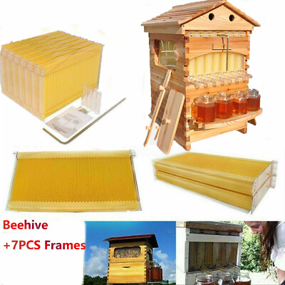 #ad 7PCS Auto Shed Honey Hive Beehive Frames Cedarwood Beehive House Box Set $196.19