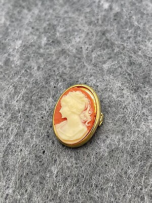 #ad Pink Oval Vintage? Victorian Lady Gold Tone Brooch Pin Fashion Jewelry Unmarked $4.99