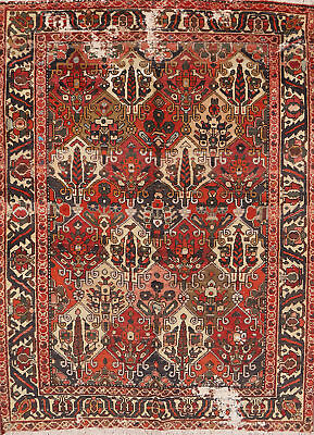 #ad Vintage Garden Design Wool Bakhtiari Area Rug 5x7 Tribal Hand knotted Carpet $465.00