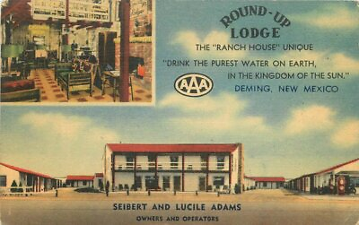 #ad Deming New Mexico 1949 Round Up Lodge Postcard roadside linen 8985 $9.61