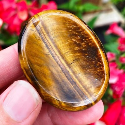 #ad Natural Tiger Eye Palm Worry Stone Crystal Smooth Polished Gemstone Collection $8.07