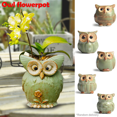 #ad 3* Random Style Ceramic Mini Owl Plant Pot Cute Succulent Planter Decoration $19.55