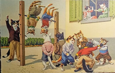 #ad Mainzer Eugen Hartung Cats Postcard 4671 Edition Max Kunzli Gymnastics $9.00