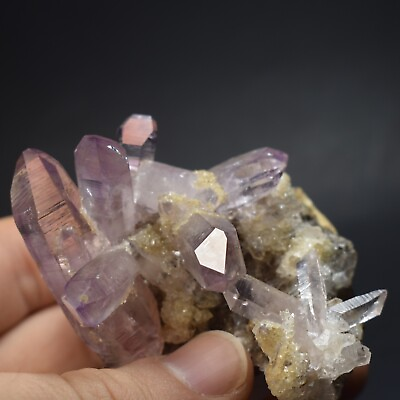 #ad Natural Amethyst Crystal Cluster Veracruz Mexico FREE SHIPPING #324 $79.99