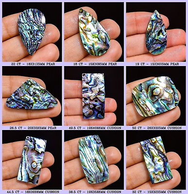 #ad Natural New Zealand Abalone Shell Cabochon Loose Gemstone For Jewelry $6.99