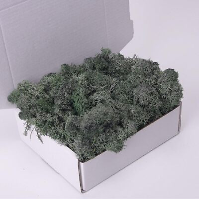 #ad Preserved Moss 3.5 OZ Moss for Crafts Faux Moss Decor Natural Green Moss for ... $20.31