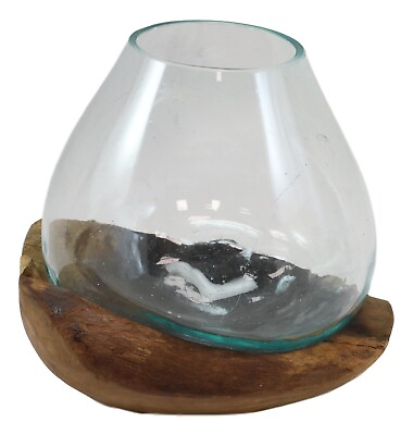 #ad Balinese Handicraft Natural Driftwood With Fitted Hand Blown Glass Bowl 8.5quot;H $66.99