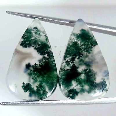 #ad 27.70Cts Green Moss Agate Natural Loose Gemstones Pear Pair 15x25x4mm $6.99