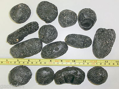 #ad Black Indochinite Tektite Stone 50 to 100 gram size Large Pieces 2 Pieces Lot $28.00