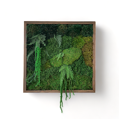 #ad Moss Wall Art Frame 20x20quot; Wood Art Decor with Preserved Moss Deep Jungle $197.77