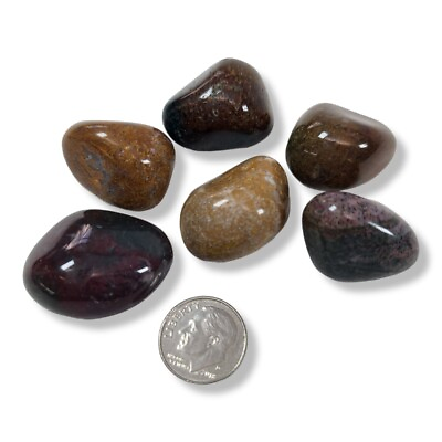 #ad Jasper Fancy Tumbled Stones India 76 grams $4.99