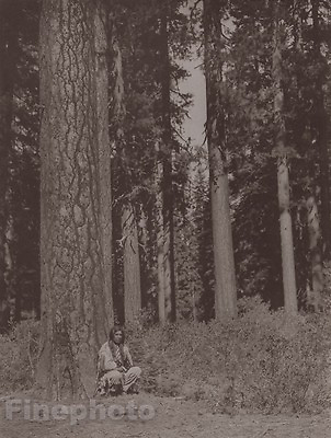 #ad c1900 72 EDWARD CURTIS Native American Indian Klamath Tribe Forest Photo Gravure $178.14