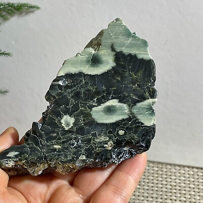 #ad Natural marine Jasper rough stone polished specimen healing 138g h9 $18.85