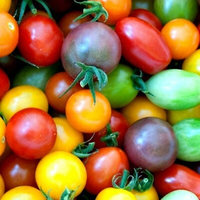 #ad 100 Rainbow Cherry Tomato Seeds for Planting Amazing Colors and Taste $7.29