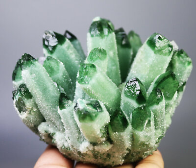#ad 1.65lb RARE Natural Beatiful Green Quartz Crystal Cluster Mineral Specimen $89.99