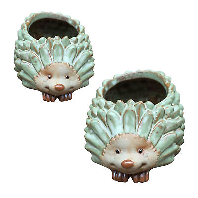 #ad Hedgehog Flower Pot Ceramic Animal Planter Cute Succulent Plant Pot with Holes $57.95