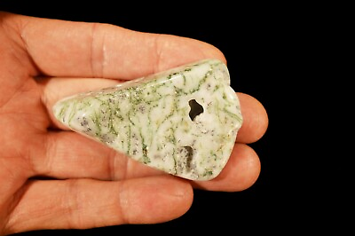 #ad GREEN TREE AGATE 3quot; Polished Rock Mineral Chakra Metaphysical Healing Stone $4.99