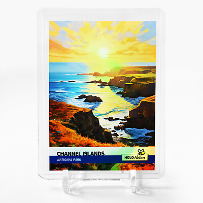 #ad CHANNEL ISLANDS National Park California Card 2023 GleeBeeCo Holographic #CHNT $19.99
