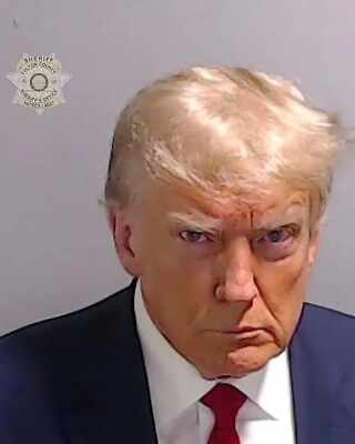 #ad Donald Trump Mug Shot 8x10 PHOTO PRINT $7.98