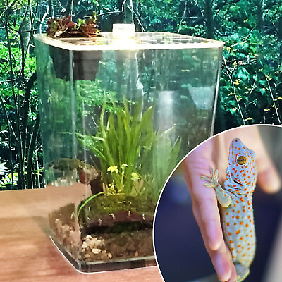 #ad Reptile Cage Enclosure Box Tarantula Insect Scorpion Breeding Clear Display Case $31.35