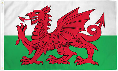 #ad Wales 3x5ft Flag of Wales Welsh Flag 3x5 House Flag 5X3 BANNER $8.88