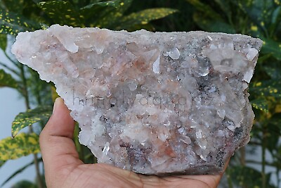 #ad High Grade Pink Phantom Quartz Rough Healing Crystal 700gm Minerals Specimens $126.28