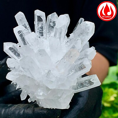 #ad Natural white mineral samples phantom quartz crystal home decor Energy gem $560.00