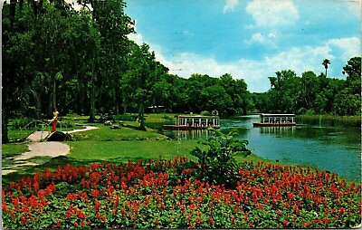 #ad Glass Bottom Boats Silver River Florida Springs Lke Wales Cancel c1972 Postcard $5.00