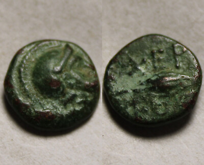 #ad Rare genuine Ancient Greek coin Thracian Chersonesos Helmeted Athena Barley XEP $60.00