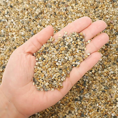 #ad Coarse Sand Stone 1.5LB Decorative Rocks Sand StoneMix Coarse Sand for PlantsS $8.99