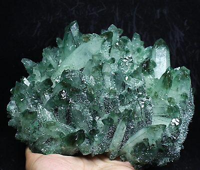 #ad 3.49 lb RARE New Find Natural Beatiful Green Quartz Crystal Cluster Specimen $135.99