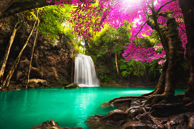 #ad Beautiful Waterfall in Tropical Forest Photo Art Print Poster 18x12 $10.98